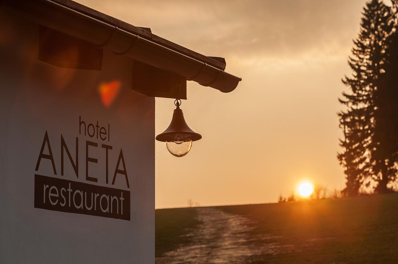 Aneta Hotel & Restaurant Vitkovice Luaran gambar