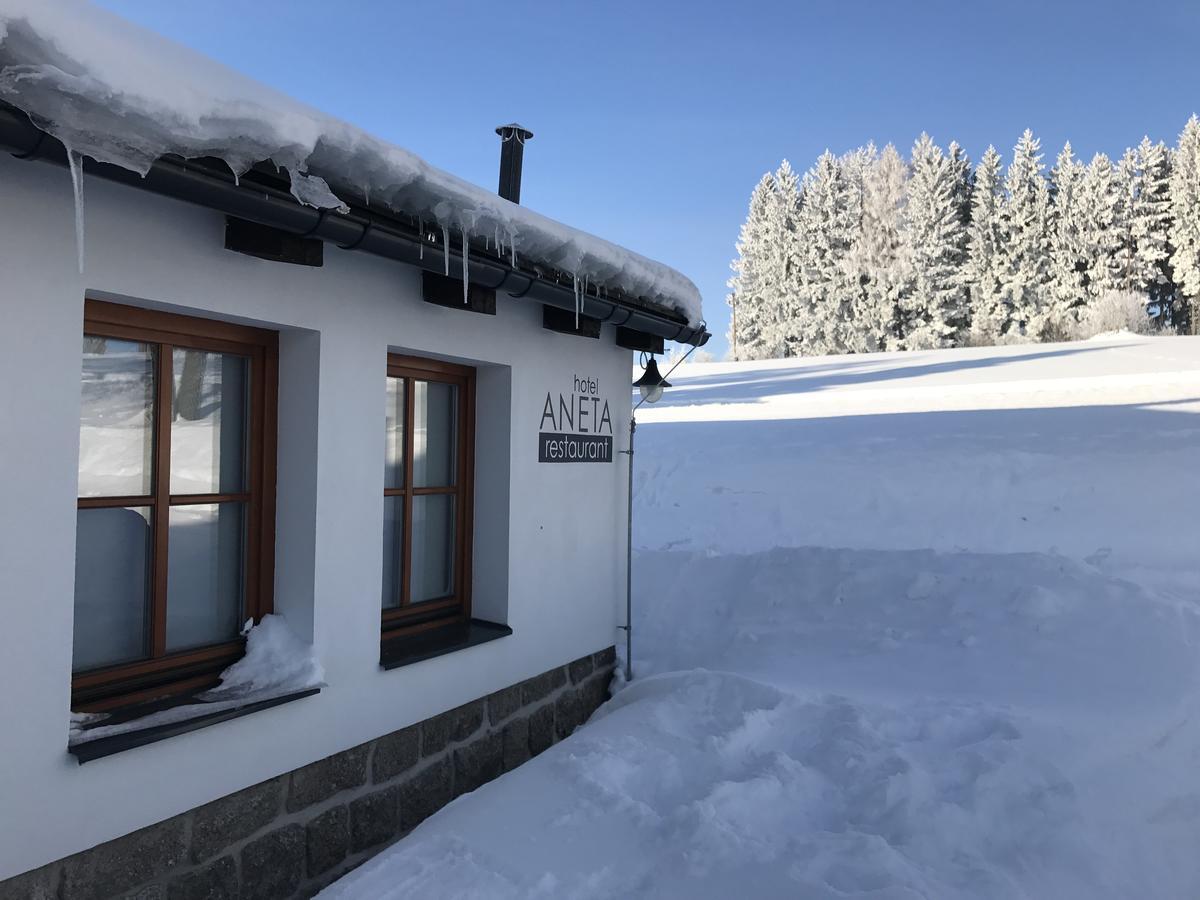 Aneta Hotel & Restaurant Vitkovice Luaran gambar